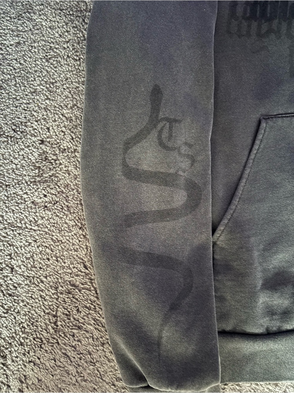 Taylor Swift Reputation Era Snake Heavy Hoodie - Picture 4 of 6